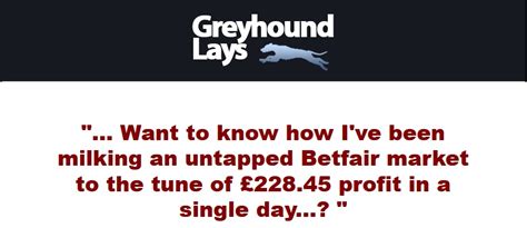 greyhound lay system